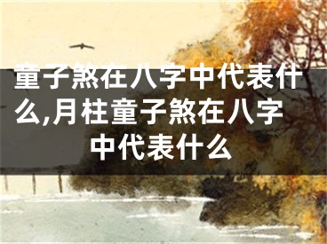 童子煞在八字中代表什么,月柱童子煞在八字中代表什么