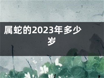 属蛇的2023年多少岁