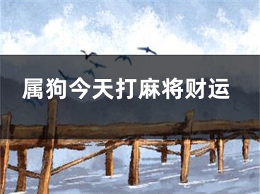属狗今天打麻将财运