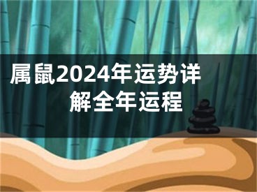 属鼠2024年运势详解全年运程