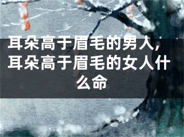 耳朵高于眉毛的男人,耳朵高于眉毛的女人什么命