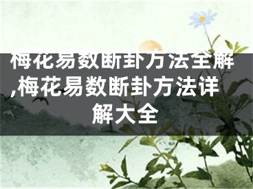 梅花易数断卦方法全解,梅花易数断卦方法详解大全