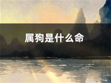 属狗是什么命