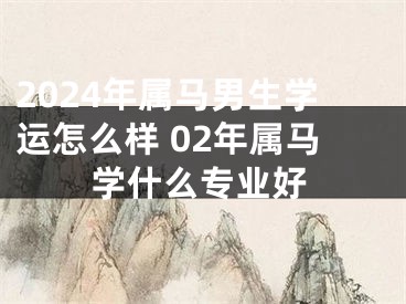 2024年属马男生学运怎么样 02年属马学什么专业好