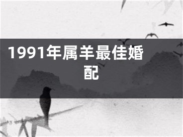 1991年属羊最佳婚配