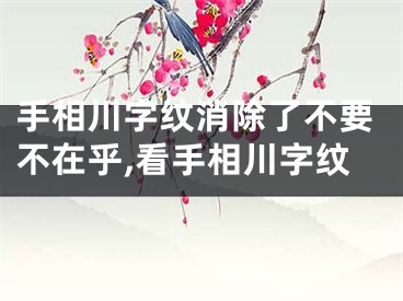 手相川字纹消除了不要不在乎,看手相川字纹