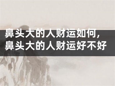 鼻头大的人财运如何,鼻头大的人财运好不好