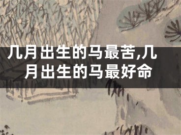 几月出生的马最苦,几月出生的马最好命