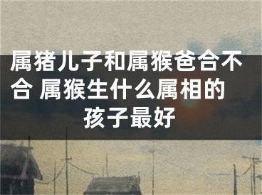 属猪儿子和属猴爸合不合 属猴生什么属相的孩子最好