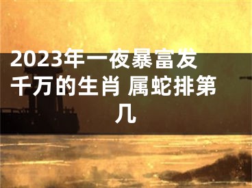 2023年一夜暴富发千万的生肖 属蛇排第几