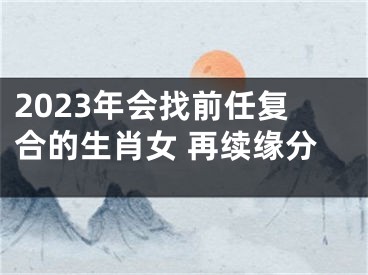 2023年会找前任复合的生肖女 再续缘分