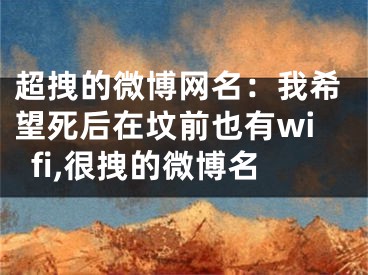 超拽的微博网名：我希望死后在坟前也有wifi,很拽的微博名