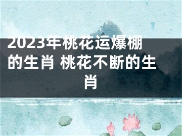 2023年桃花运爆棚的生肖 桃花不断的生肖
