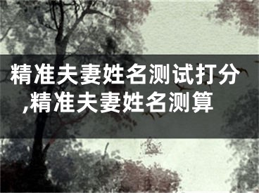 精准夫妻姓名测试打分,精准夫妻姓名测算
