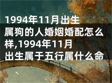 1994年11月出生属狗的人婚姻婚配怎么样,1994年11月出生属于五行属什么命