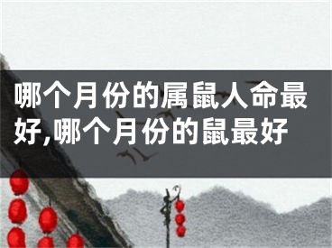 哪个月份的属鼠人命最好,哪个月份的鼠最好