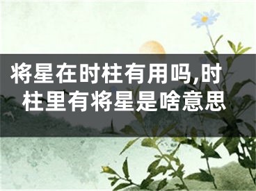 将星在时柱有用吗,时柱里有将星是啥意思