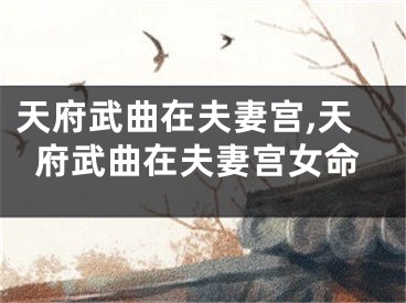天府武曲在夫妻宫,天府武曲在夫妻宫女命