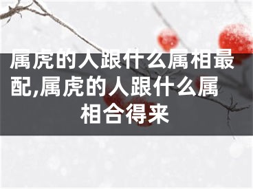 属虎的人跟什么属相最配,属虎的人跟什么属相合得来