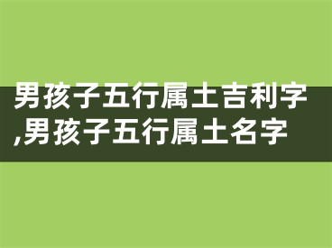 男孩子五行属土吉利字,男孩子五行属土名字