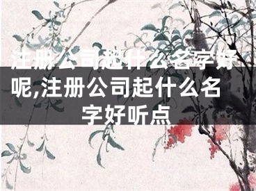 注册公司起什么名字好呢,注册公司起什么名字好听点