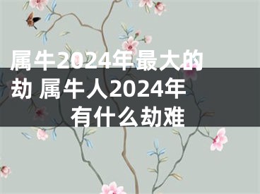 属牛2024年最大的劫 属牛人2024年有什么劫难