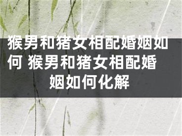 猴男和猪女相配婚姻如何 猴男和猪女相配婚姻如何化解