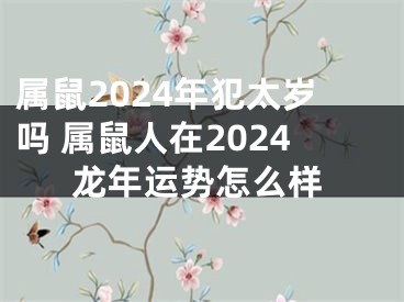 属鼠2024年犯太岁吗 属鼠人在2024龙年运势怎么样