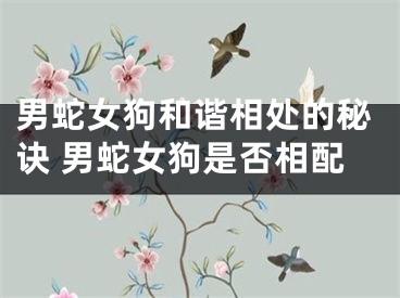 男蛇女狗和谐相处的秘诀 男蛇女狗是否相配