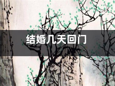 结婚几天回门
