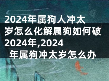 2024年属狗人冲太岁怎么化解属狗如何破2024年,2024年属狗冲太岁怎么办