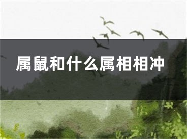 属鼠和什么属相相冲