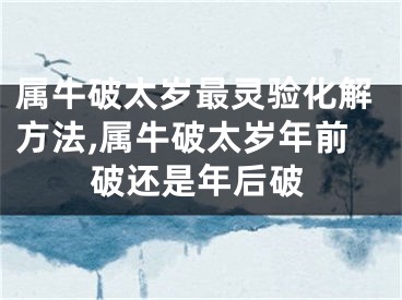 属牛破太岁最灵验化解方法,属牛破太岁年前破还是年后破