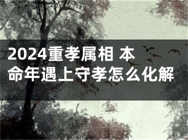2024重孝属相 本命年遇上守孝怎么化解