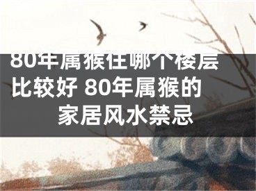 80年属猴住哪个楼层比较好 80年属猴的家居风水禁忌