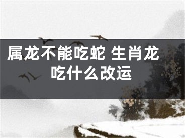属龙不能吃蛇 生肖龙吃什么改运