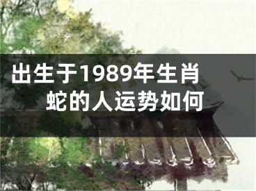 出生于1989年生肖蛇的人运势如何