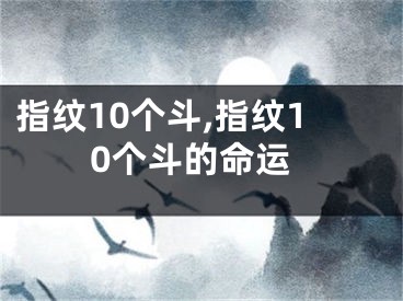 指纹10个斗,指纹10个斗的命运