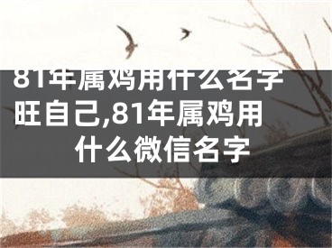 81年属鸡用什么名字旺自己,81年属鸡用什么微信名字