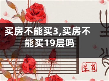 买房不能买3,买房不能买19层吗