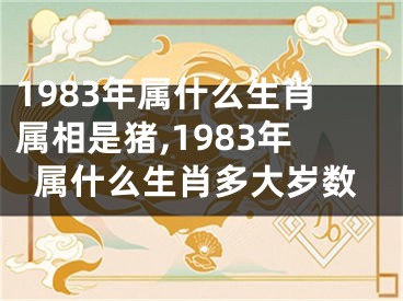 1983年属什么生肖属相是猪,1983年属什么生肖多大岁数