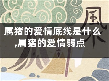 属猪的爱情底线是什么,属猪的爱情弱点