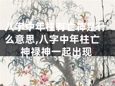 八字中年柱有亡神是什么意思,八字中年柱亡神禄神一起出现