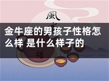 金牛座的男孩子性格怎么样 是什么样子的 