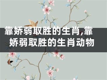 靠娇弱取胜的生肖,靠娇弱取胜的生肖动物