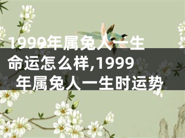 1999年属兔人一生命运怎么样,1999年属兔人一生时运势