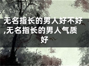 无名指长的男人好不好,无名指长的男人气质好