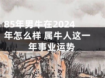 85年男牛在2024年怎么样 属牛人这一年事业运势