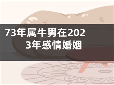 73年属牛男在2023年感情婚姻