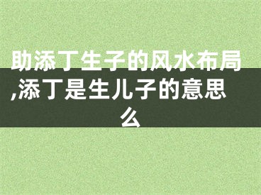 助添丁生子的风水布局,添丁是生儿子的意思么